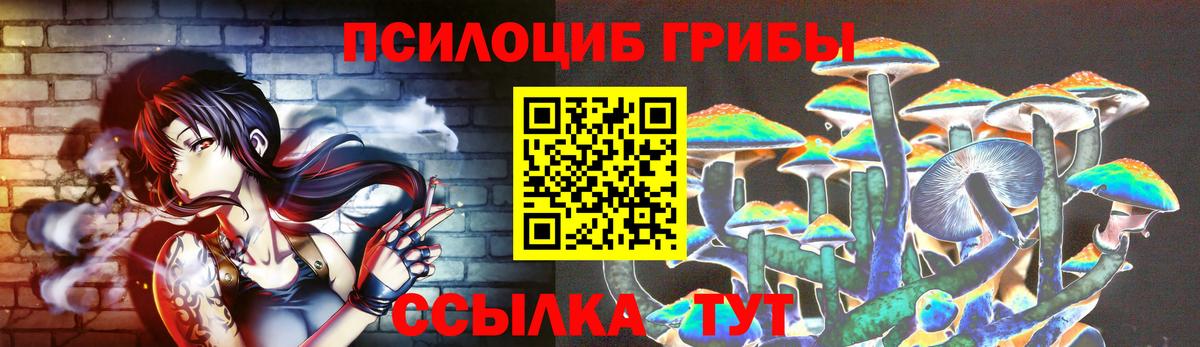 наркотики  Вход с VPN  Алейск  Галлюциногенные грибы Psilocybine cubensis 